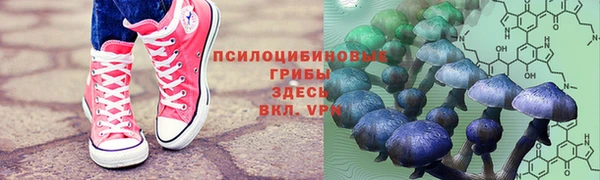герыч Нефтекумск